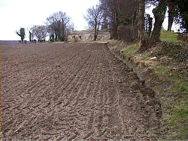 Fields next to the site